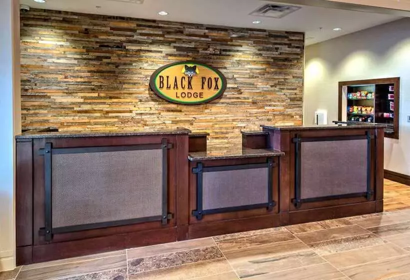 ホテル Black Fox Lodge Pigeon Forge, Tapestry Collection By Hilton