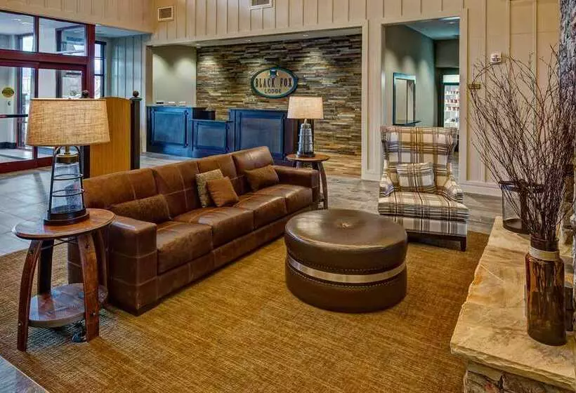 ホテル Black Fox Lodge Pigeon Forge, Tapestry Collection By Hilton