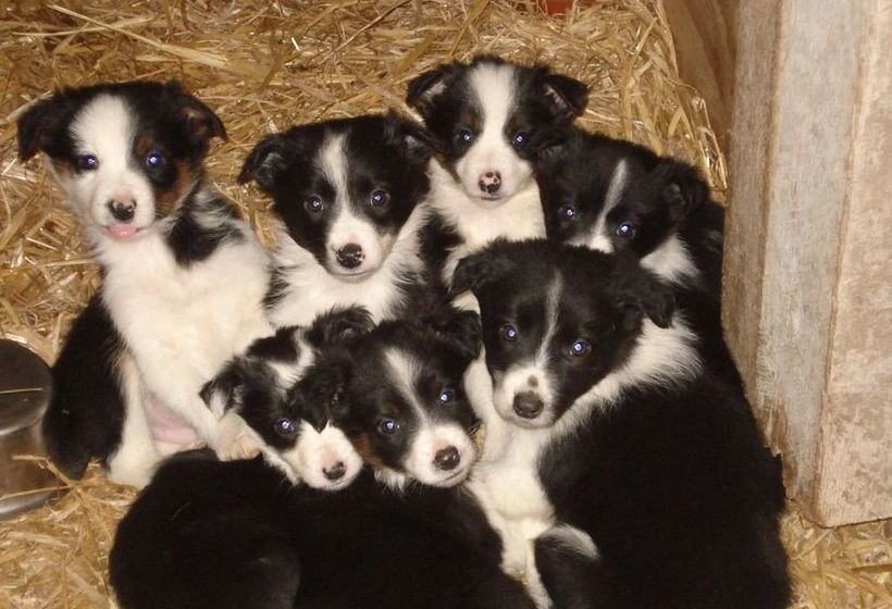 호텔 Tyddyn Chambers B&b