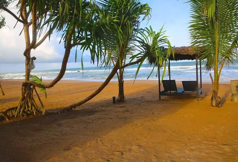 هتل Whispering Palms