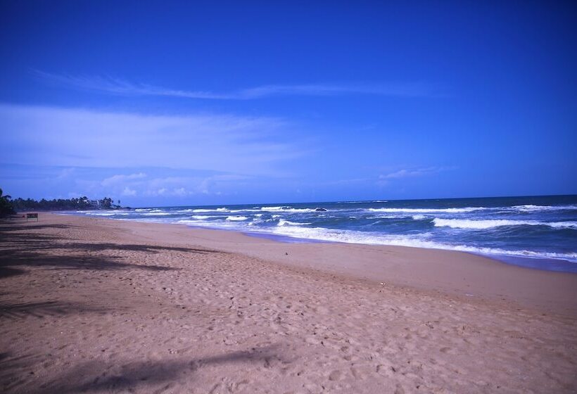 Отель Whispering Palms