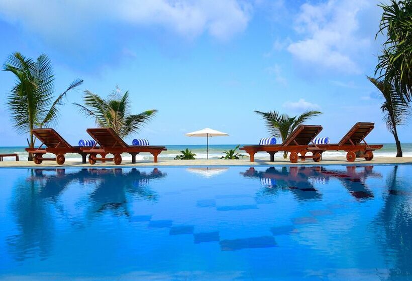 Отель Whispering Palms