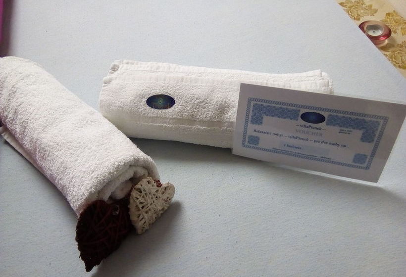 膳宿费 Villa Psenek