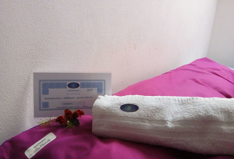 膳宿费 Villa Psenek