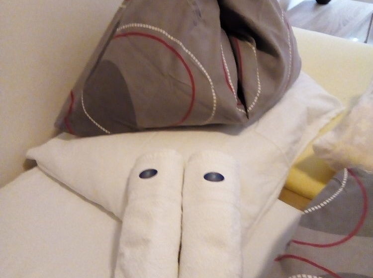 膳宿费 Villa Psenek