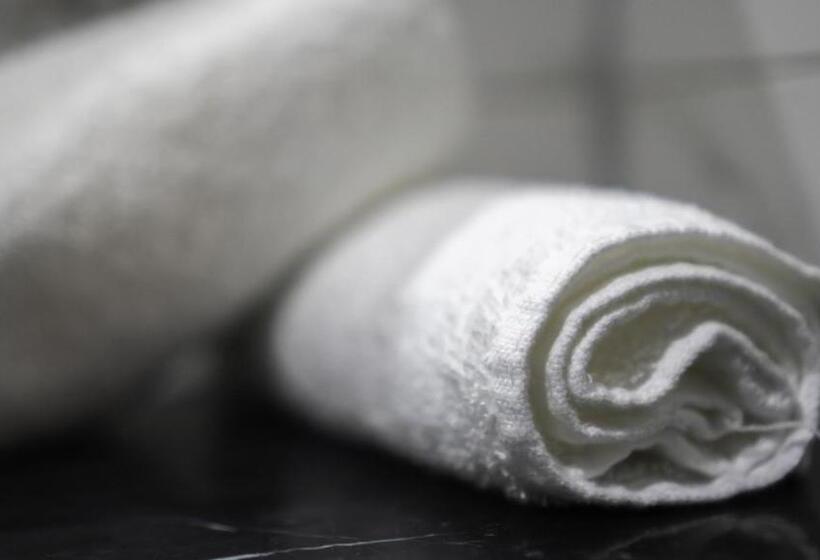 فندق Areca Launceston