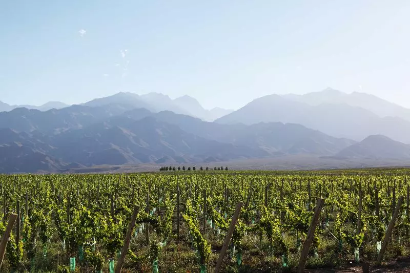 Hotelli Casa De Uco Vineyards & Wine
