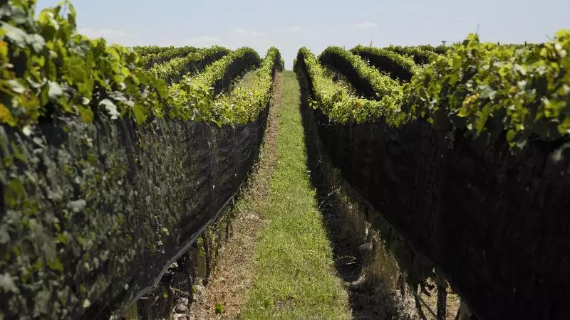 Hotelli Casa De Uco Vineyards & Wine