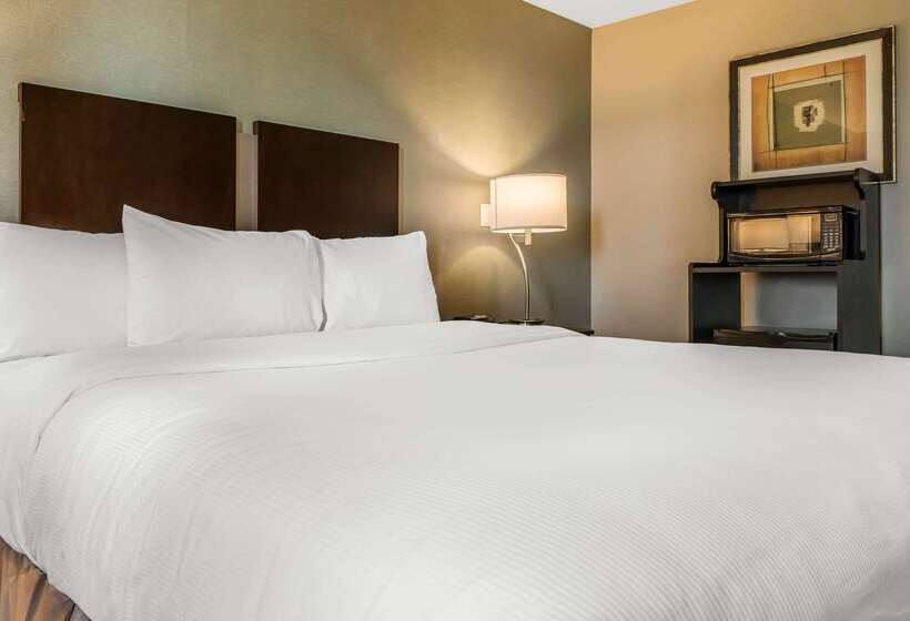 فندق Clarion Inn