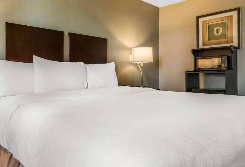 ホテル Clarion Inn