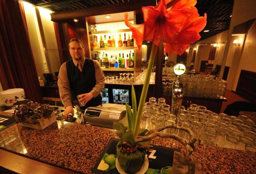 ホテル Li Iisalmen Seurahuone