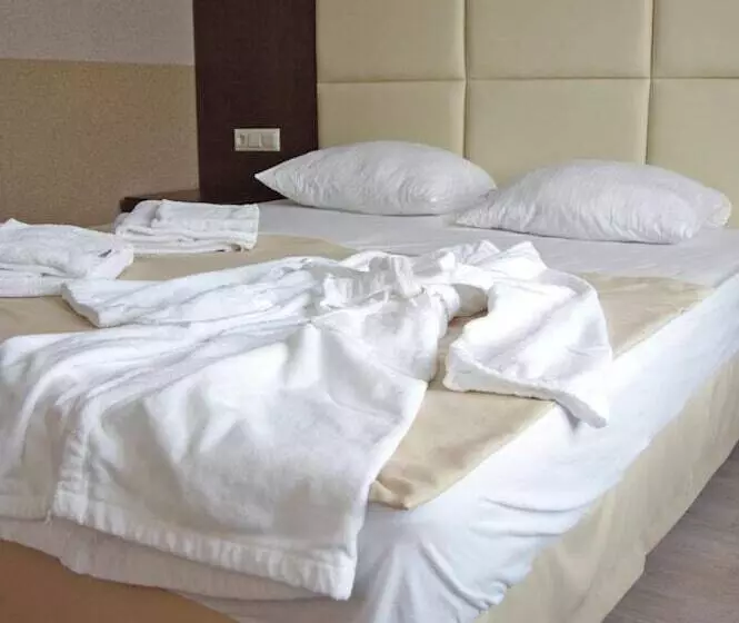 Otel Elisa Inn