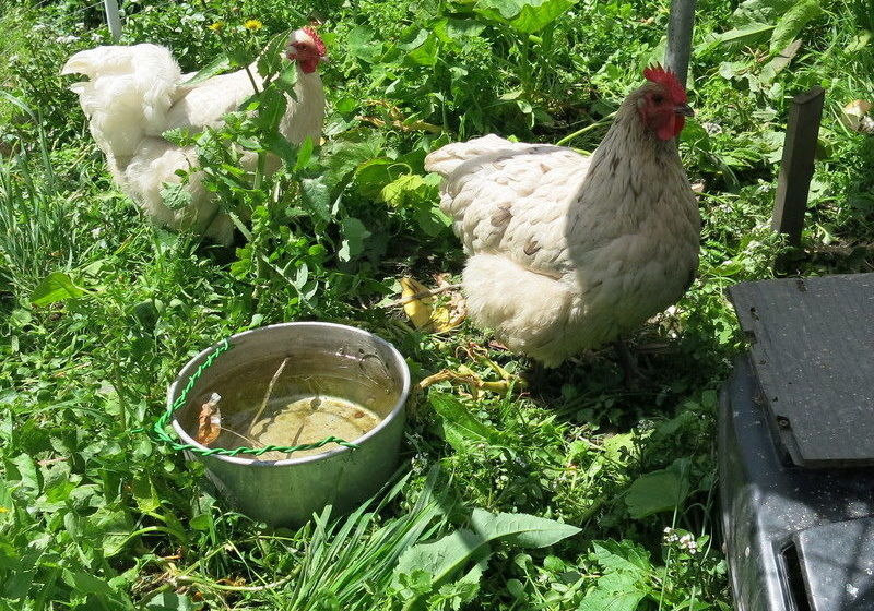 Пансион The Art