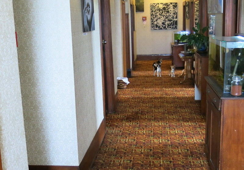 Пансион The Art