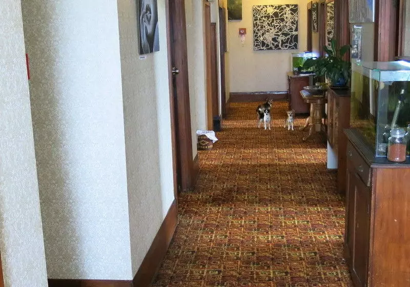 ペンション The Art