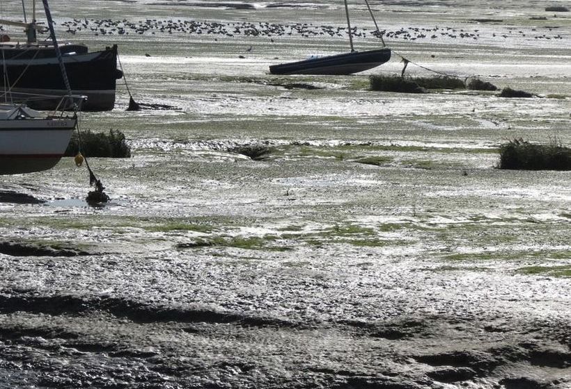 بنسيون The Landings @ 83