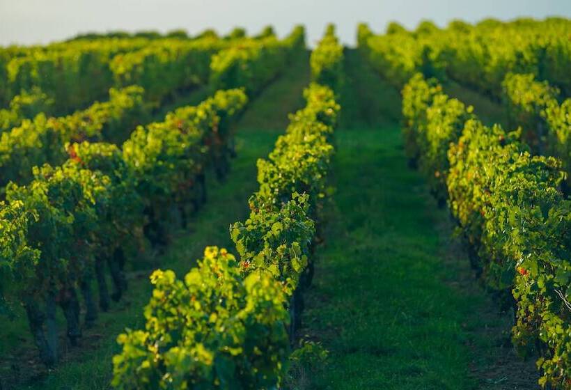 مبيت وإفطار Domaine De Mercade