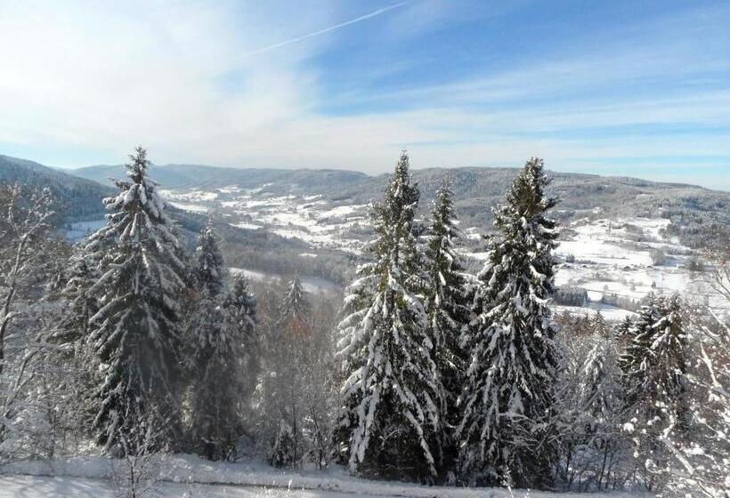 Chalet Charmant Au Tholy Avec Piscine Partagee