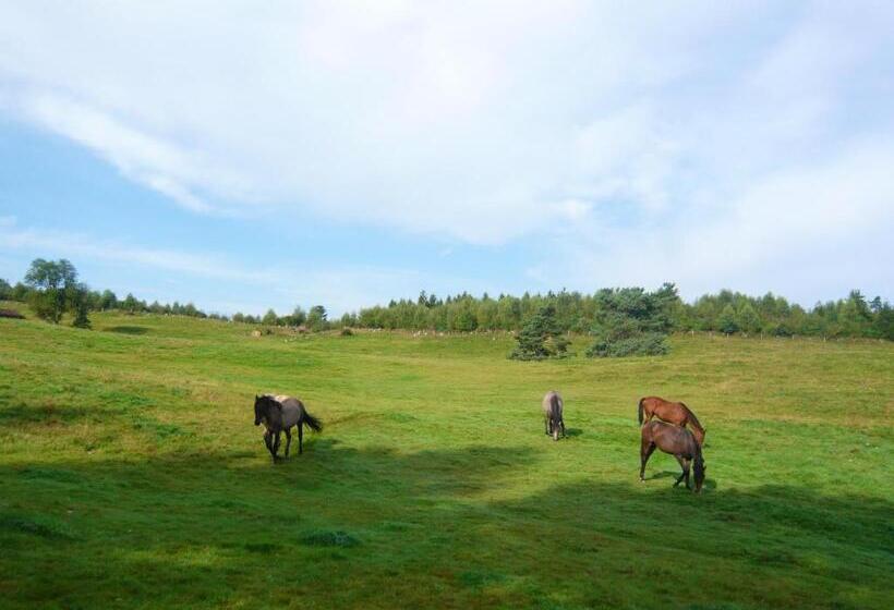Chalet Charmant Au Tholy Avec Piscine Partagee
