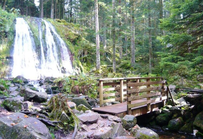 Chalet Charmant Au Tholy Avec Piscine Partagee
