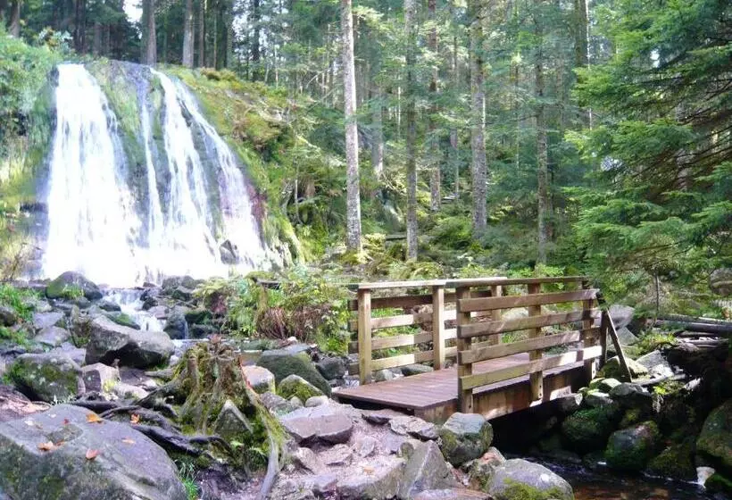 Chalet Charmant Au Tholy Avec Piscine Partagee