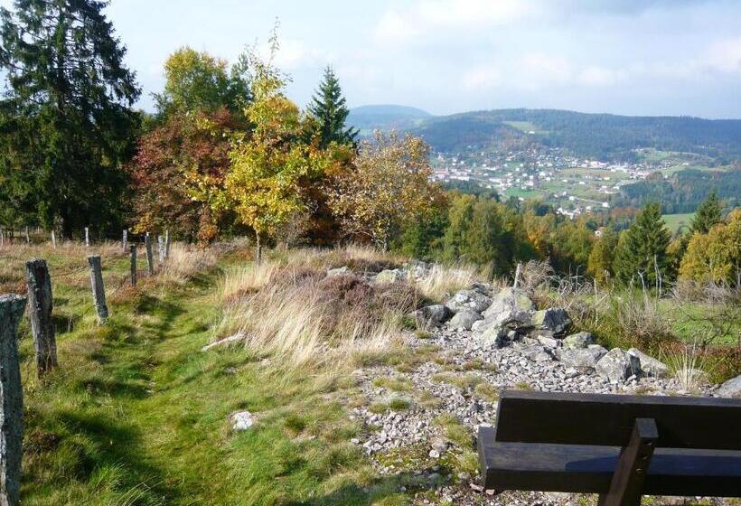 Chalet Charmant Au Tholy Avec Piscine Partagee