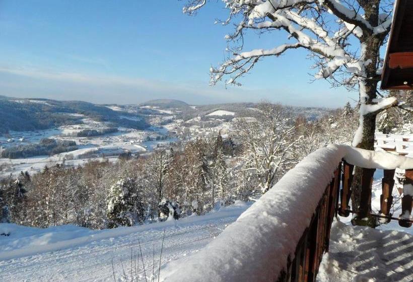 Chalet Charmant Au Tholy Avec Piscine Partagee