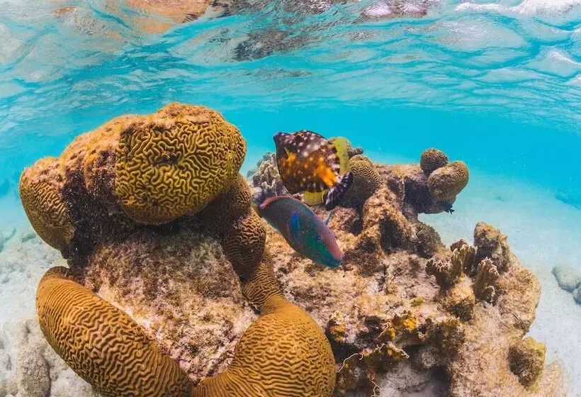 Corallium Hotel & Villas Bonaire