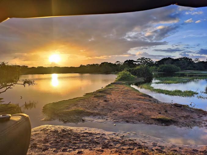 בית מלון כפרי Nilketha Yala Tissamaharama