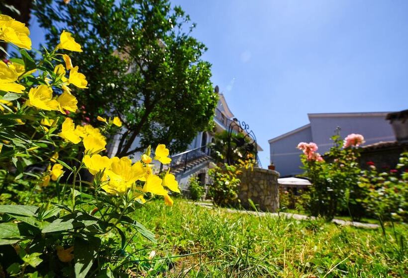 בית מלון כפרי Rose Garden