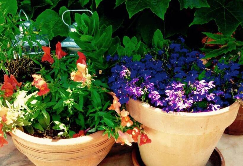 La Beytina  B&b And Apartment