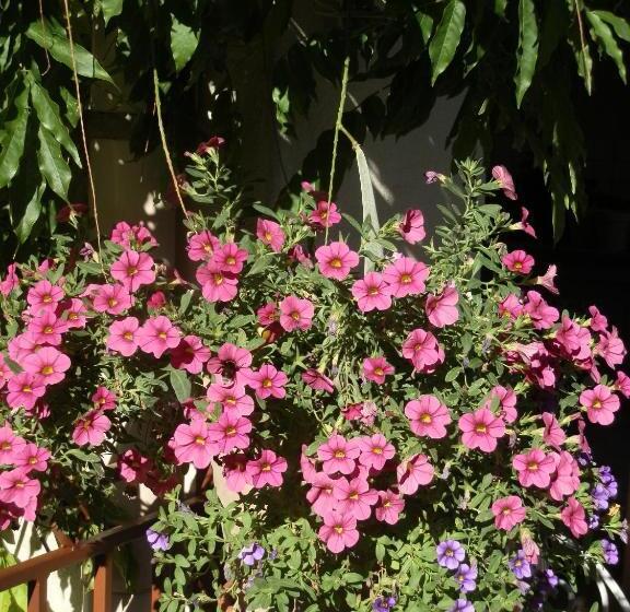 La Beytina  B&b And Apartment