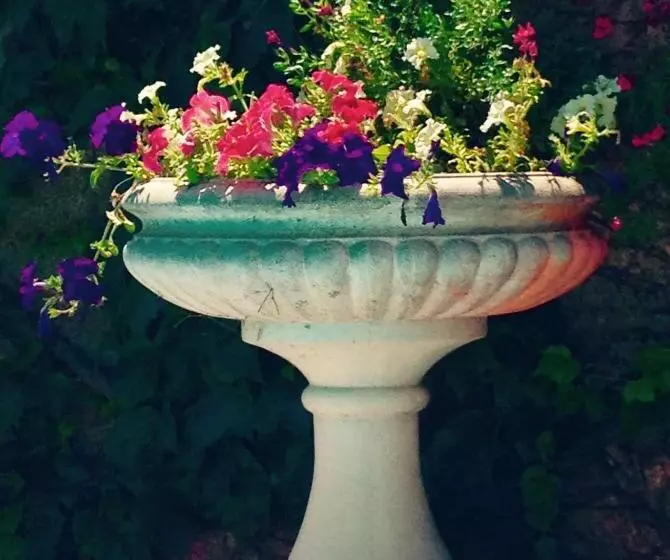 La Beytina  B&b And Apartment