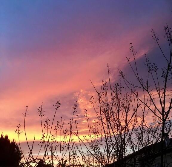 La Beytina  B&b And Apartment