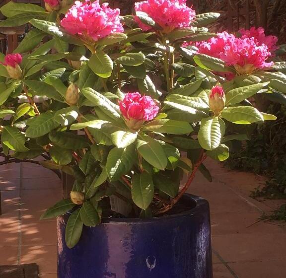 La Beytina  B&b And Apartment