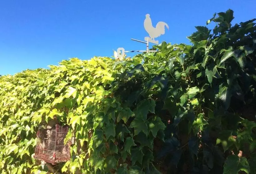 La Beytina  B&b And Apartment