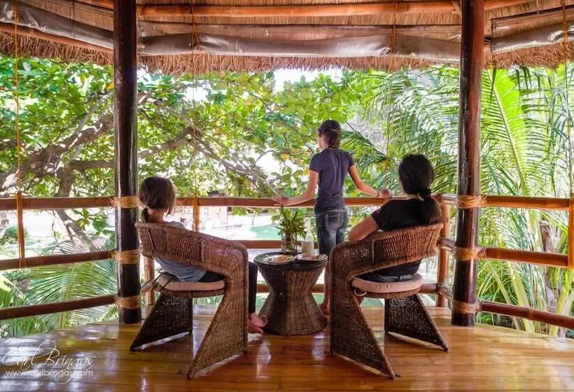 ベッドアンドブレックファースト Cashew Grove Beach Resort