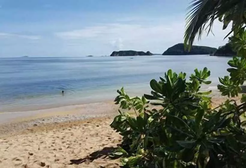 ベッドアンドブレックファースト Cashew Grove Beach Resort