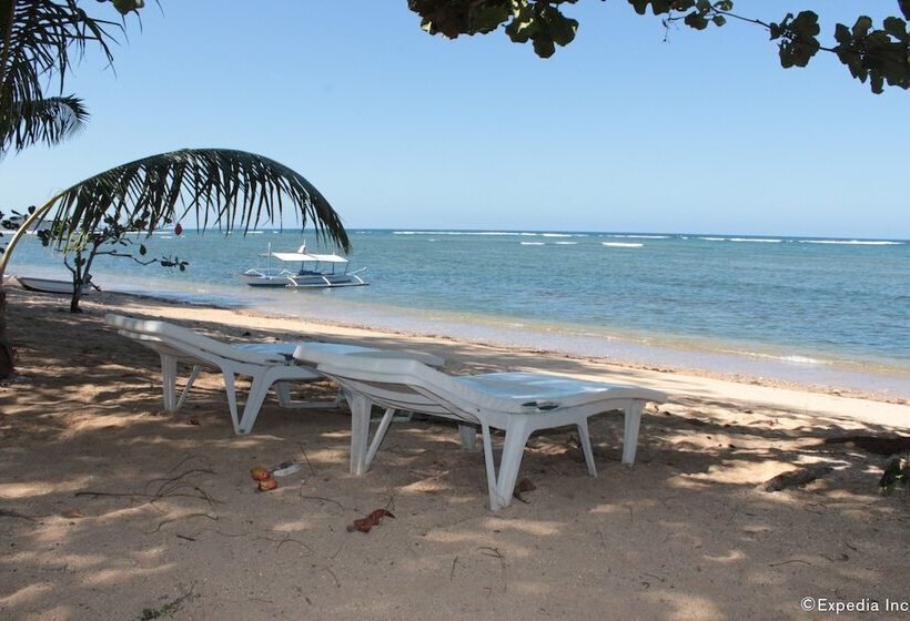 住宿加早餐 Cashew Grove Beach Resort