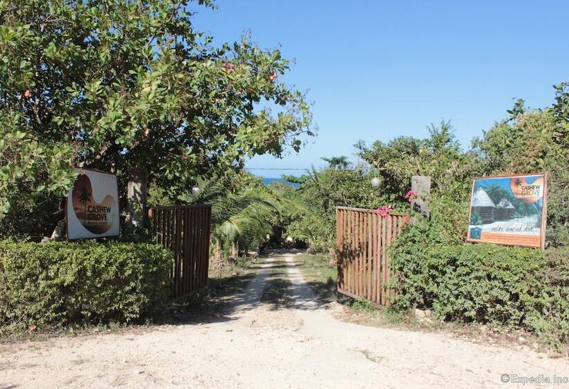 住宿加早餐 Cashew Grove Beach Resort