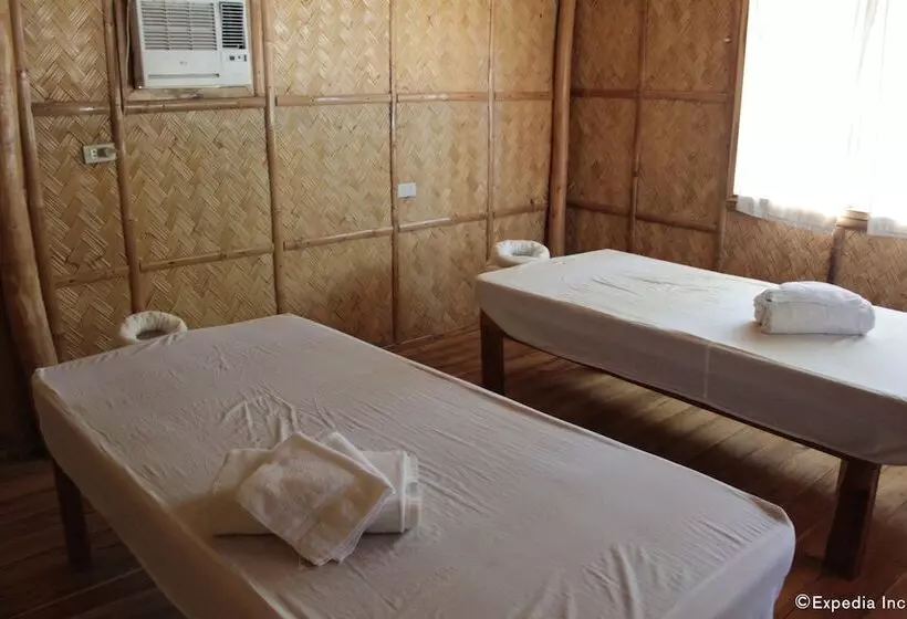 ベッドアンドブレックファースト Cashew Grove Beach Resort