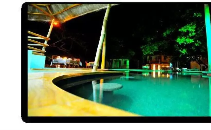 ベッドアンドブレックファースト Cashew Grove Beach Resort