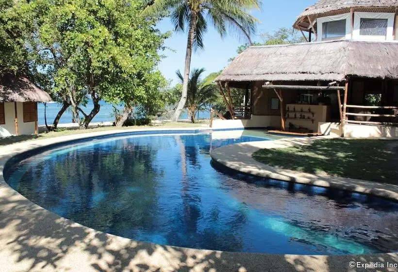 ベッドアンドブレックファースト Cashew Grove Beach Resort