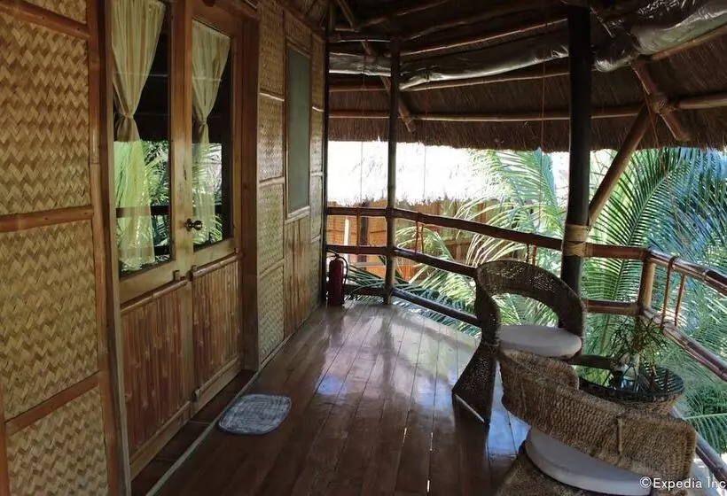 ベッドアンドブレックファースト Cashew Grove Beach Resort