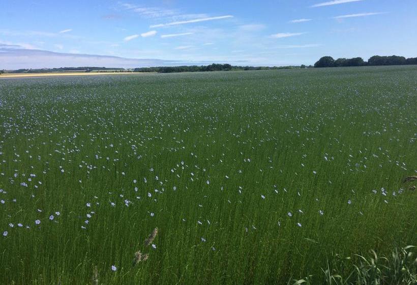 Bed and Breakfast Chambre D Hôte El Dorado