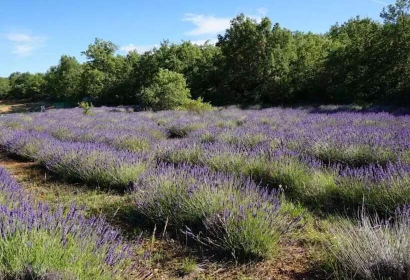 Aamiaismajoitus (B&B) La Buisse