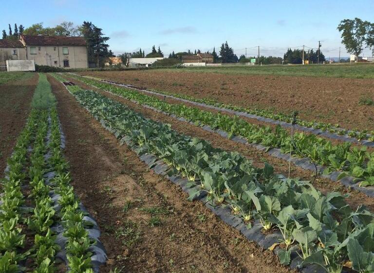 민박 La Ferme Du Midi