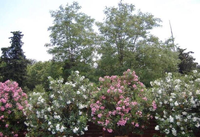 ベッドアンドブレックファースト Les Parfums Du Midi