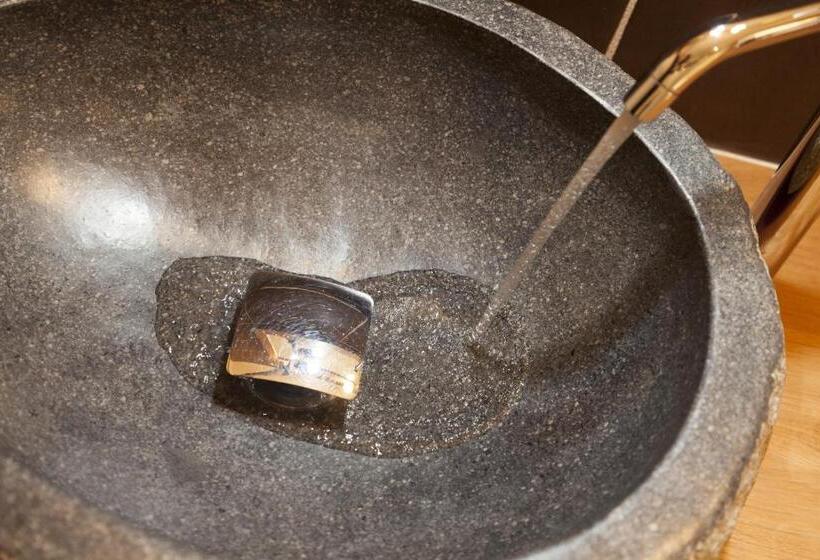 בית מלון כפרי Des Alpes