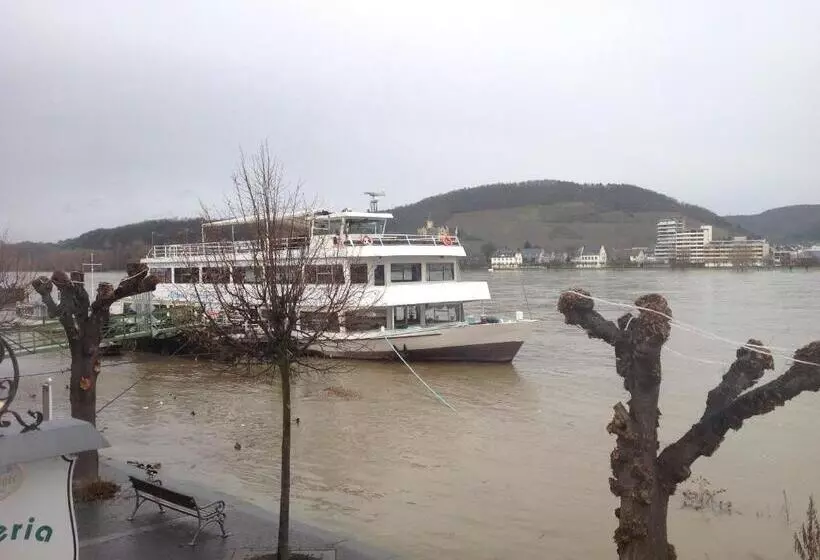 ホテル Rheinischer Hof